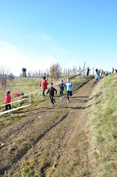 Tek Biljanski gri 269 i 069